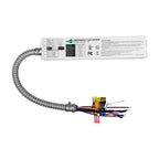 40W  AC 100-347V Emergency Backup Driver | LSA40FY-170