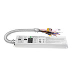 40W  AC 100-347V Emergency Backup Driver | LSA40FY-170