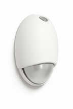 Outdoor Wall-Pack Emergency Light