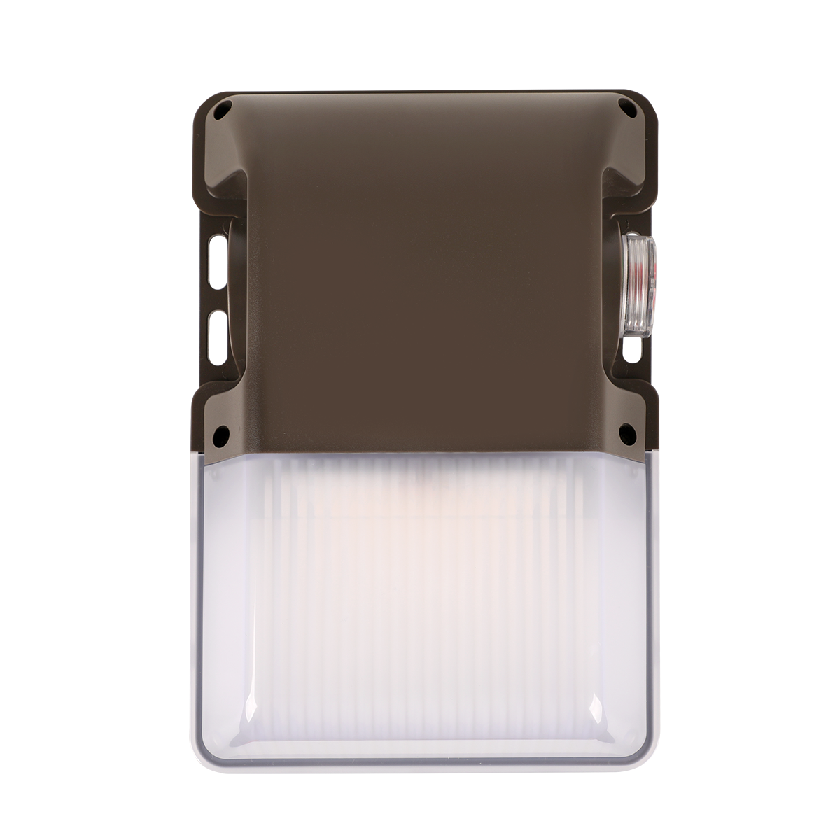 Economy LED Wall Pack